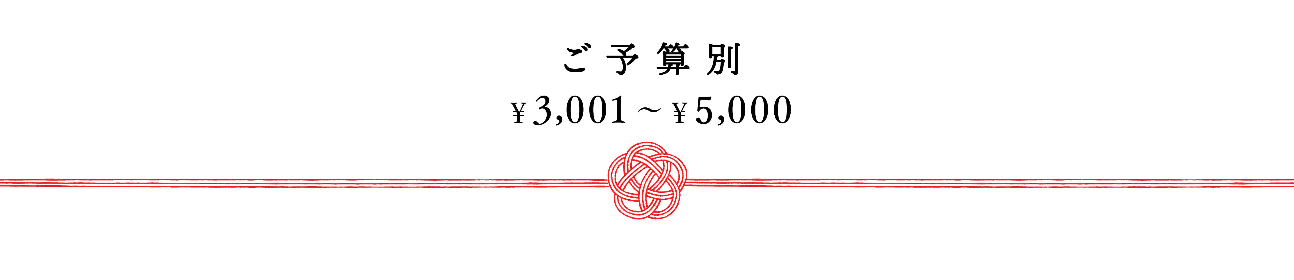 ご予算別￥3,000～￥5,000以内