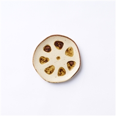 AKOMEYA TOKYO/豆皿 蓮根