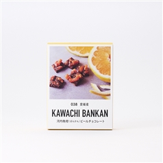 河内晩柑ピールチョコレート