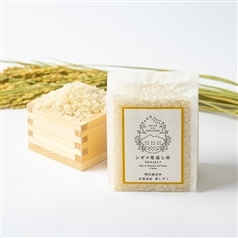 白米 500g 乳酸菌あきたこまち玄米白米ブレンドHAPARICEレトルトごはん