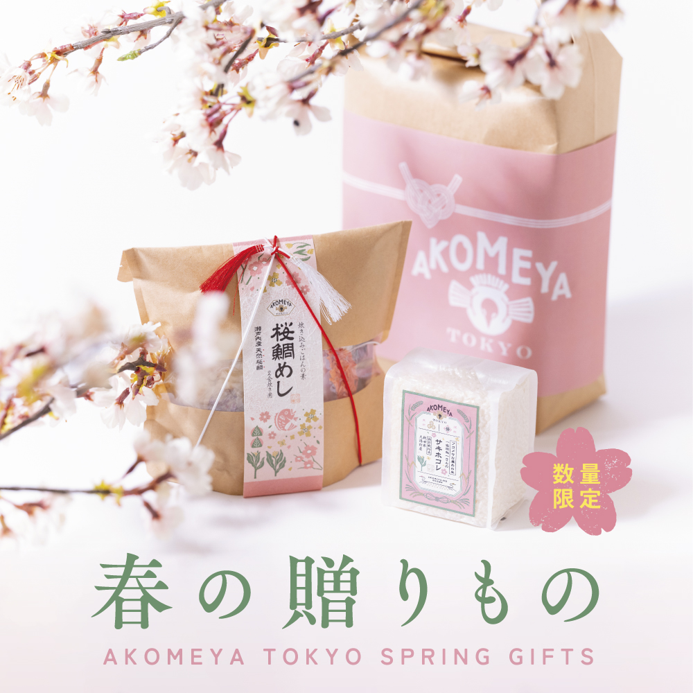 花柄陶器皿6枚セット ギフトボックス入り（和食器通販 京都