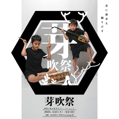 3/25(土)より、IMAMAによる植物イベント「芽吹祭」をAKOMEYA TOKYO in la kaguにて開催！