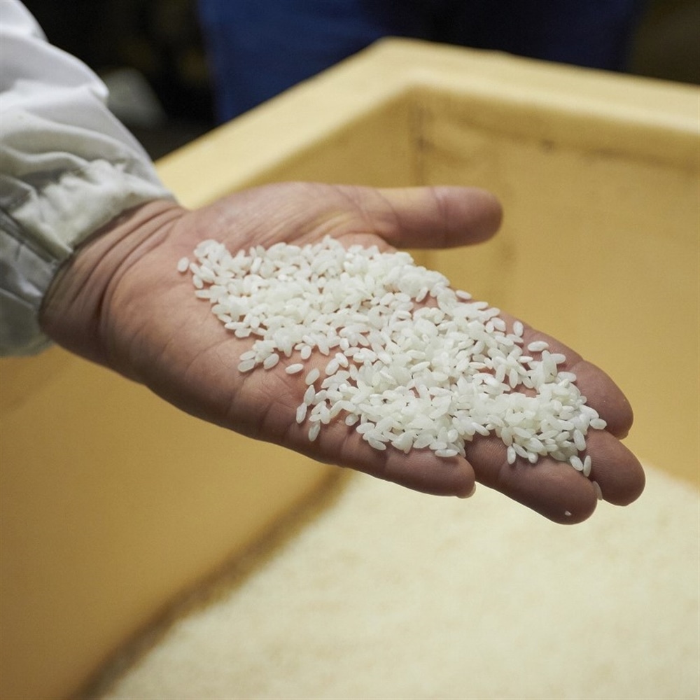 アコメヤの木桶味噌ができるまで②「河野酢味噌製造工場のこと」