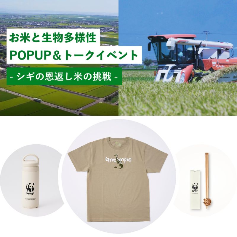 【トークイベント】3月14日（土）～15日（日）「お米と生物多様性POPUP＆トークイベント～シギの恩返し米の挑戦～」をAKOMEYA TOKYO in la kaguで開催！