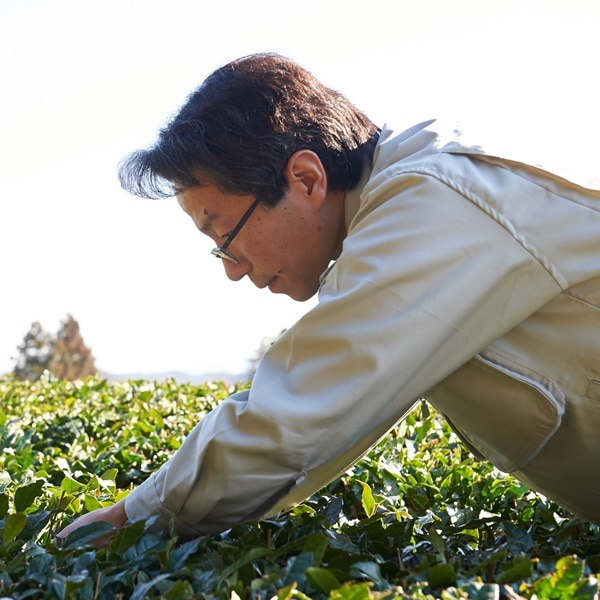 美味しい香りにこだわった「アコメヤのお茶」