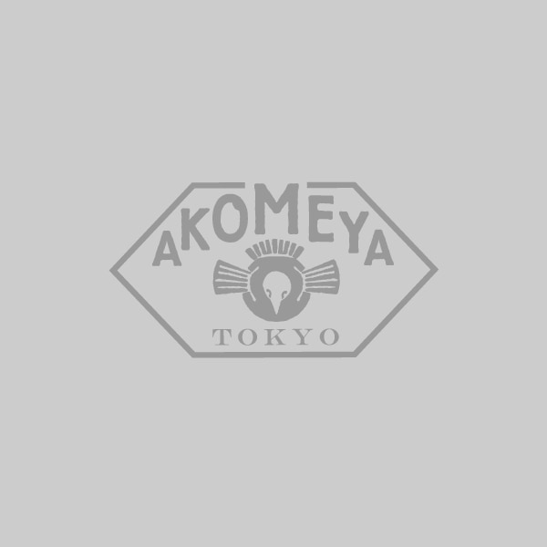 カレーフライヤー